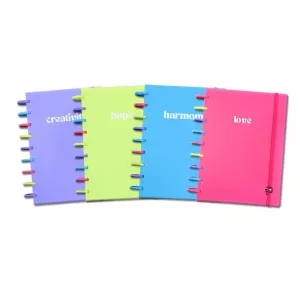 Caderno Colorful Médio Disco G